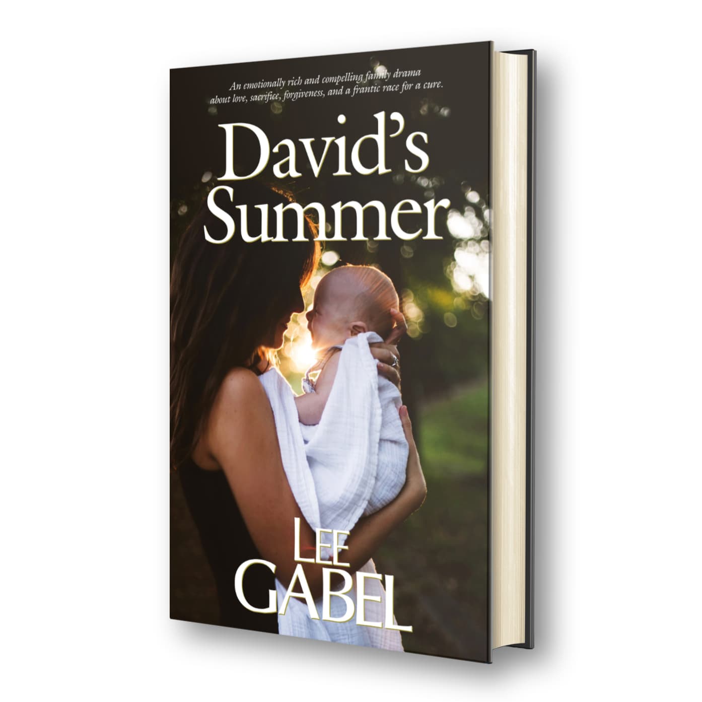 David's Summer virtual hardcover image (318 pages.)